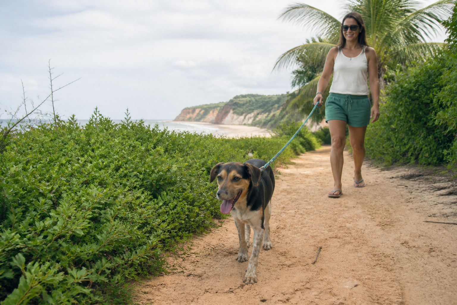 Perro paseando por un sendero tropical cerca de la costa