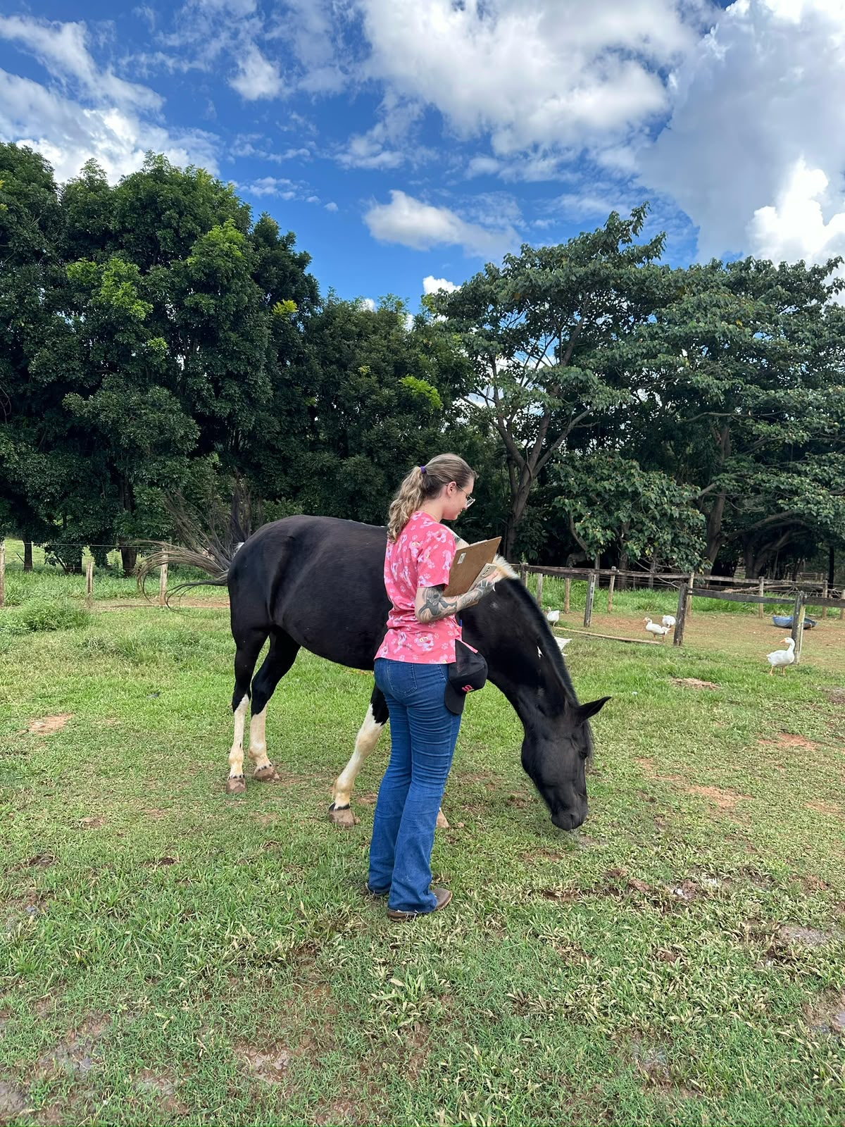 Atendimento veterinário em Pipa e região