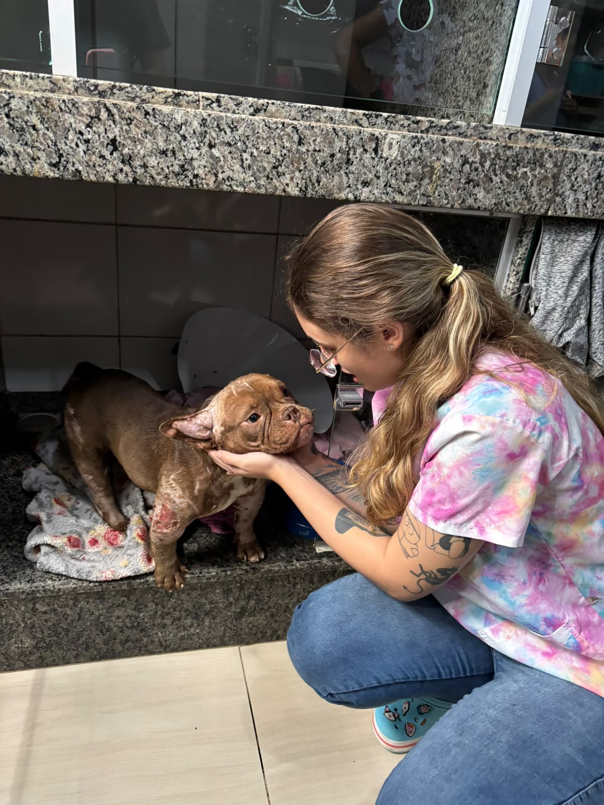 Dra. Samira Carneiro avaliando um cachorro em atendimento veterinário